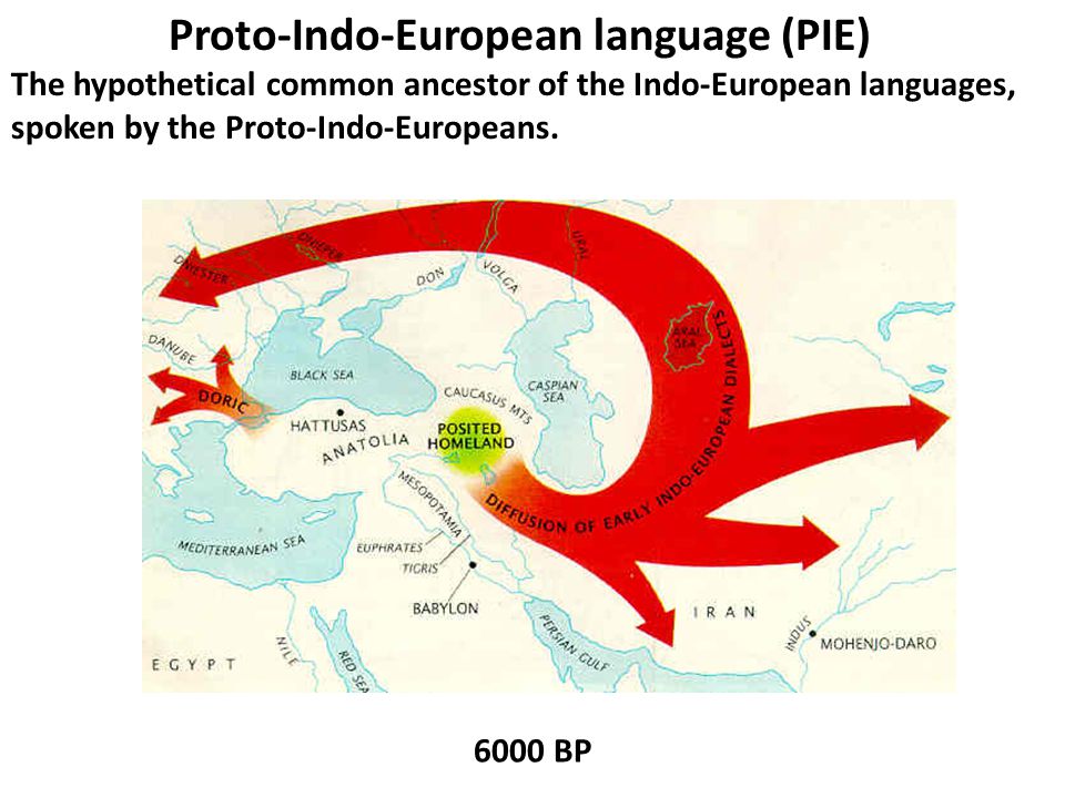 indo european languages essay help